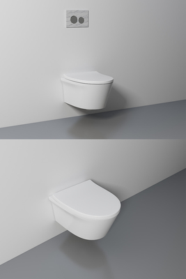 ARROW AB2175H Wall Hung Toilet , Sanitary Wash Down Type Water Closet